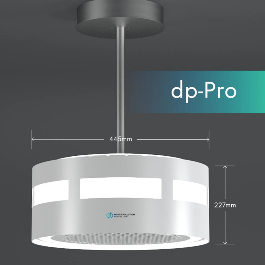 dp Pro Gerät